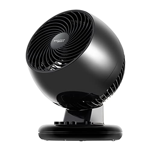 IRIS USA WOOZOO Large Oscillating Circulating Fan, Black