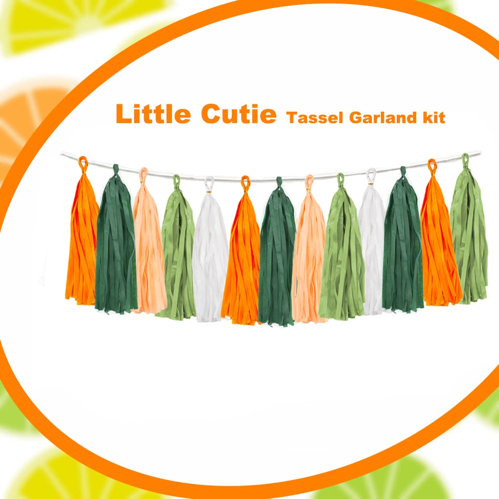 25PCS Little Cutie Citrus DIY Tissue Tassel Garland Kit Hey Cutie Baby Shower Banner Tangerine Clementine Orange Themed Birthday Party Wedding Backdrop Nursery Wall Garden Hanging Decoration